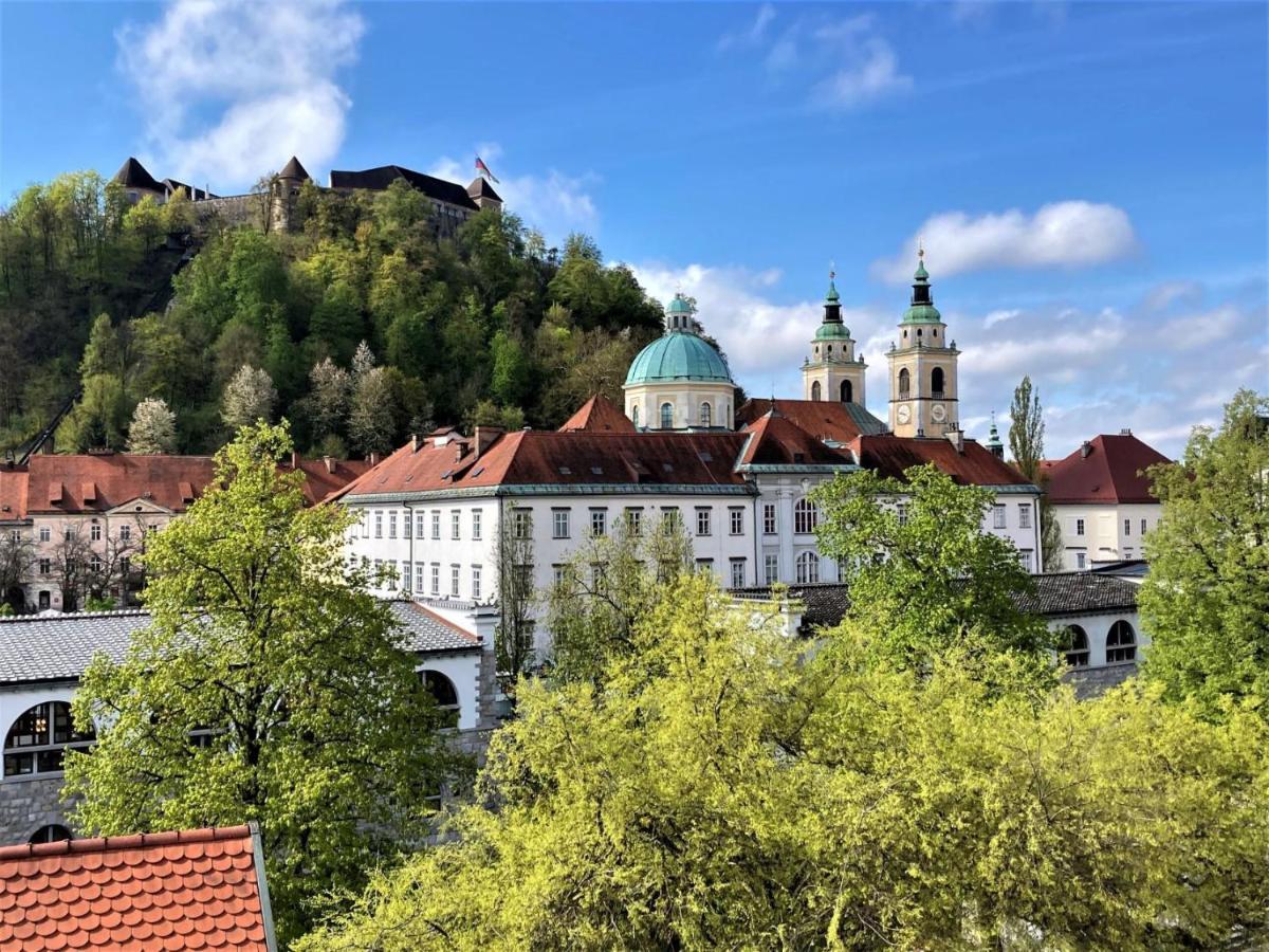 Rohrmann Apartments Ljubljana Eksteriør billede